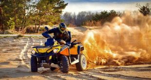 Auto Insurance for Quads